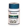 Købe Bacopa (Brahmi) Uden Recept
